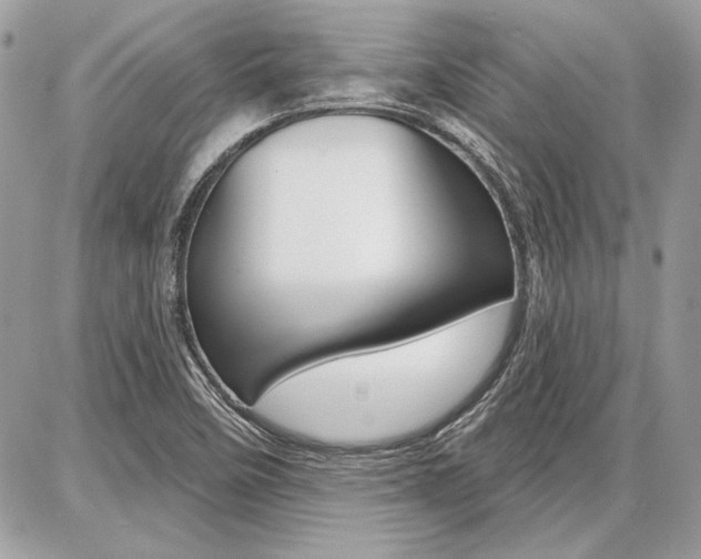 X0000086881458200704160927