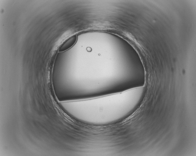 X0000086881459200704160927