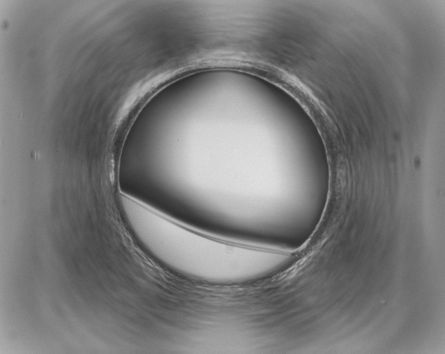 X0000086881461200704160927