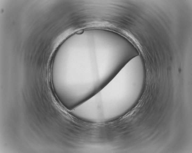 X0000086881467200704160927