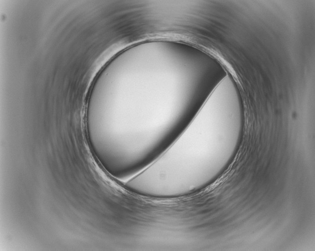 X0000086881484200704160927