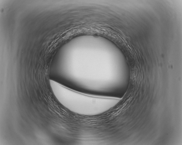 X0000086881490200704160926