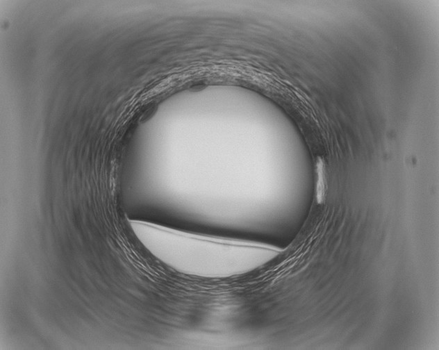 X0000086881491200704160926