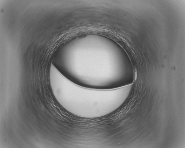 X0000086881492200704160926