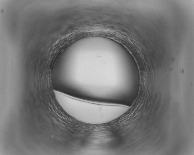 X0000086881493200704160926