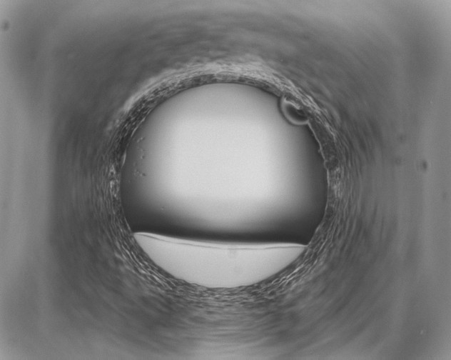 X0000086881495200704160926