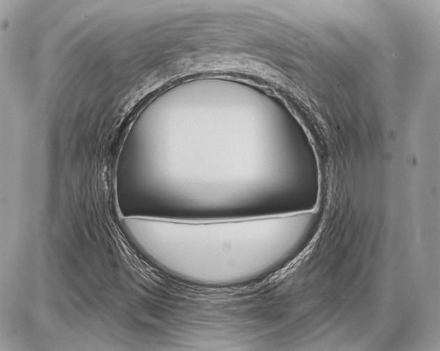 X0000086881497200704160926