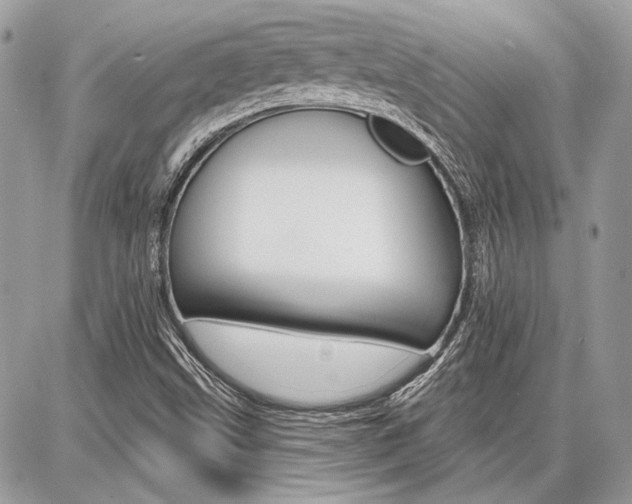 X0000086881499200704160926