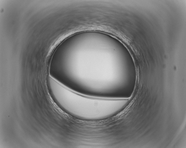 X0000086881500200704160926