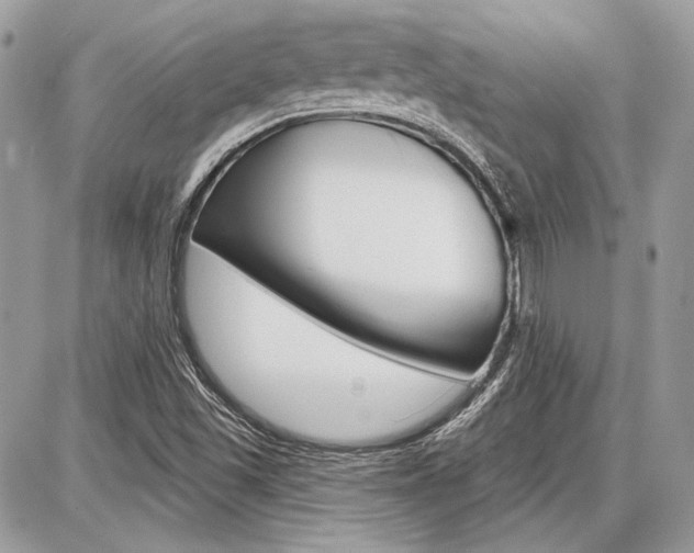 X0000086881501200704160926