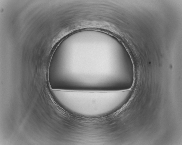 X0000086881505200704160926