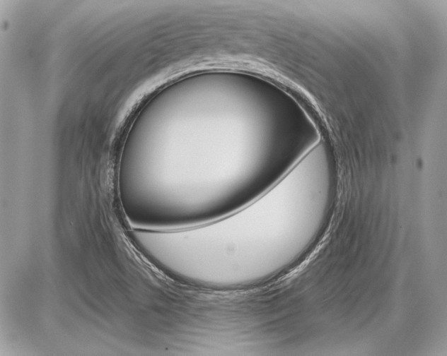 X0000086881506200704160926