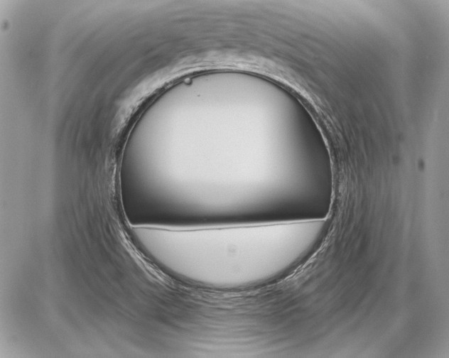 X0000086881507200704160926