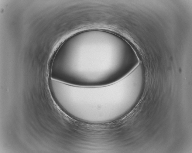X0000086881508200704160926