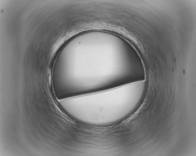 X0000086881509200704160926
