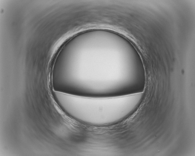 X0000086881511200704160926