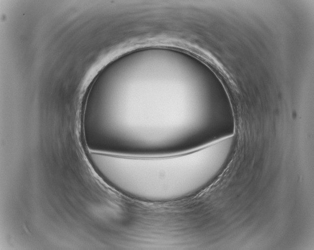 X0000086881512200704160926