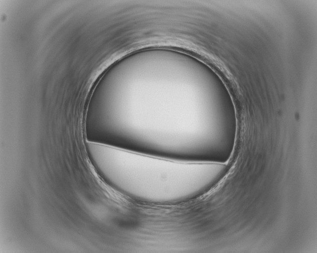X0000086881513200704160926