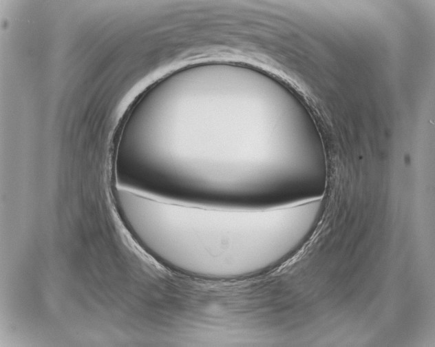 X0000086881518200704160926