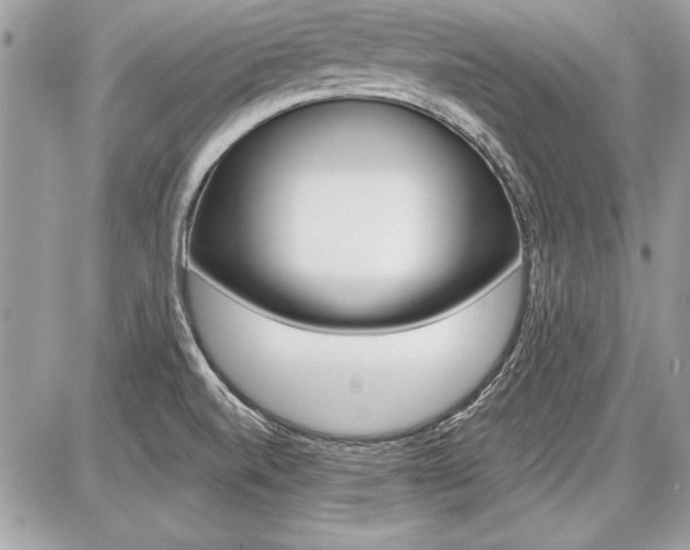 X0000086881520200704160926