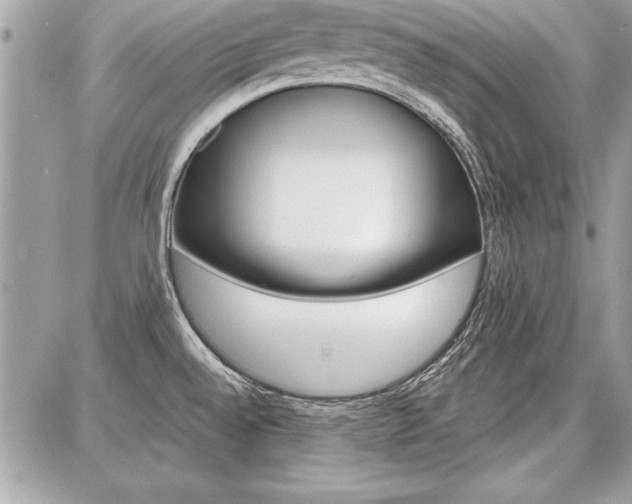 X0000086881528200704160927