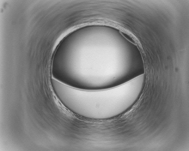 X0000086881530200704160927