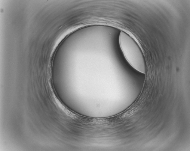X0000086881531200704160927