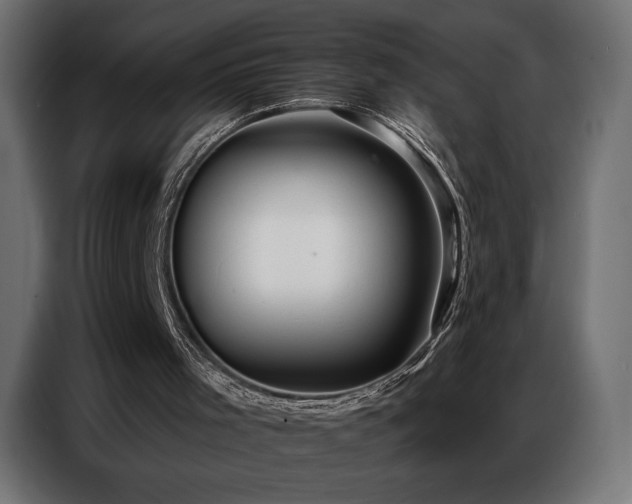 X0000086880001200704161233