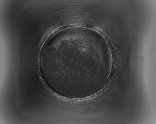 X0000086880002200704161233