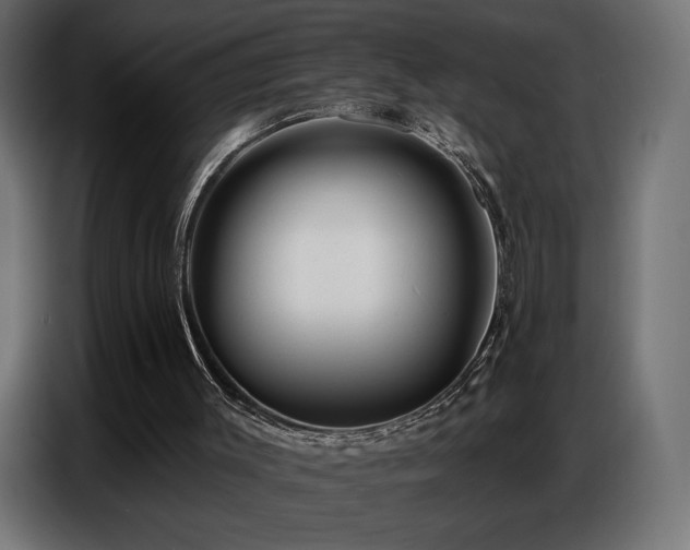 X0000086880003200704161233