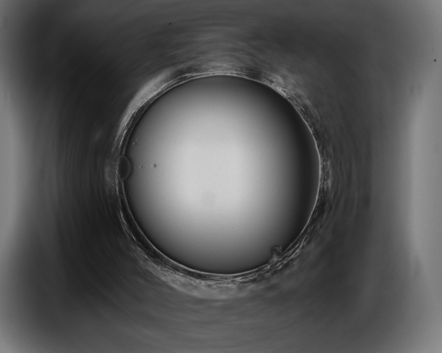 X0000086880004200704161233