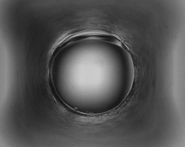 X0000086880005200704161233