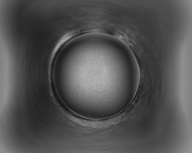 X0000086880006200704161233