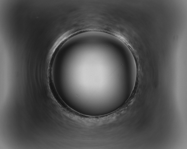 X0000086880007200704161233