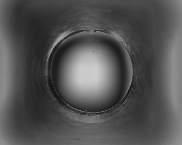 X0000086880008200704161233