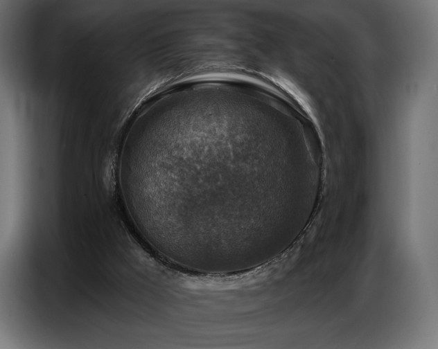 X0000086880009200704161233