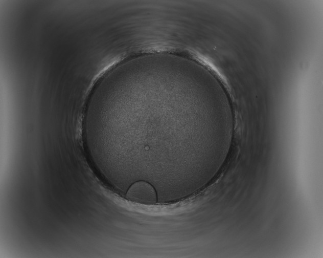 X0000086880010200704161233