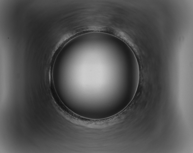 X0000086880011200704161233