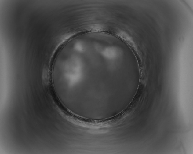 X0000086880012200704161233