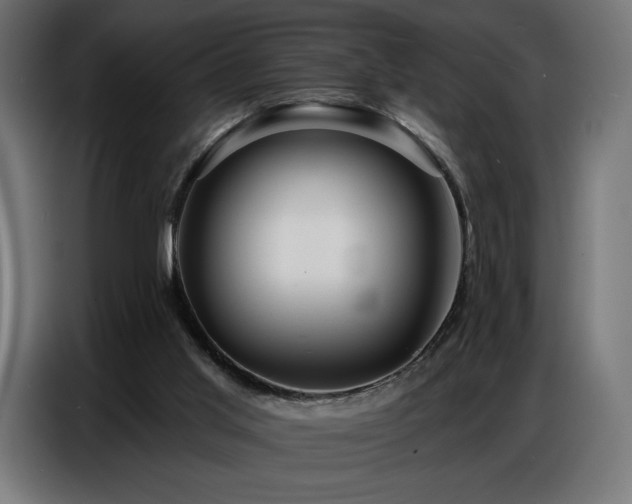 X0000086880013200704161233