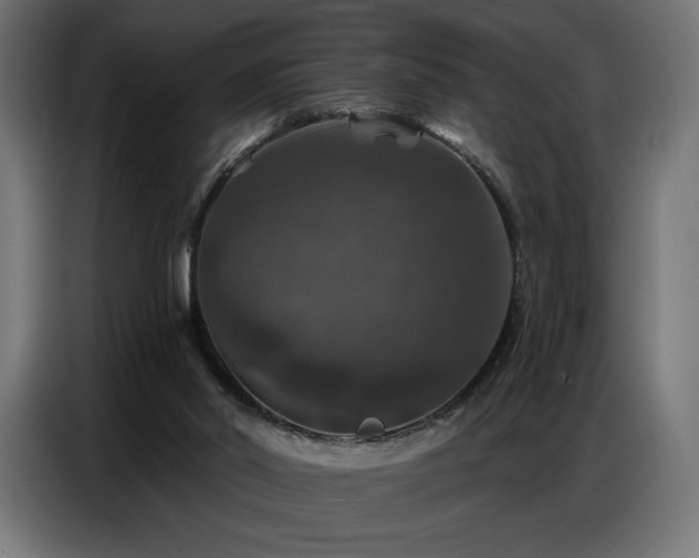 X0000086880014200704161233