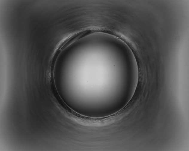 X0000086880015200704161233