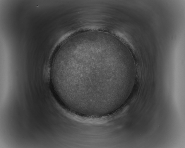 X0000086880016200704161233