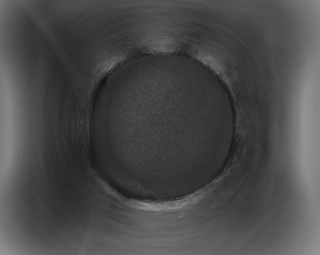 X0000086880017200704161233