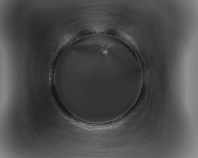 X0000086880018200704161233