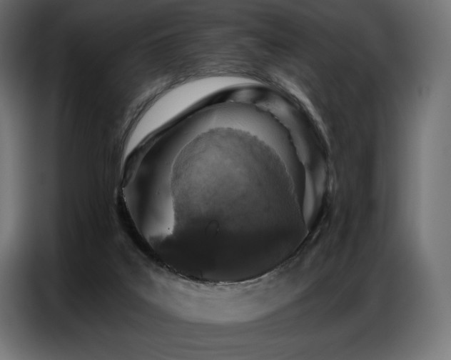 X0000086880019200704161233