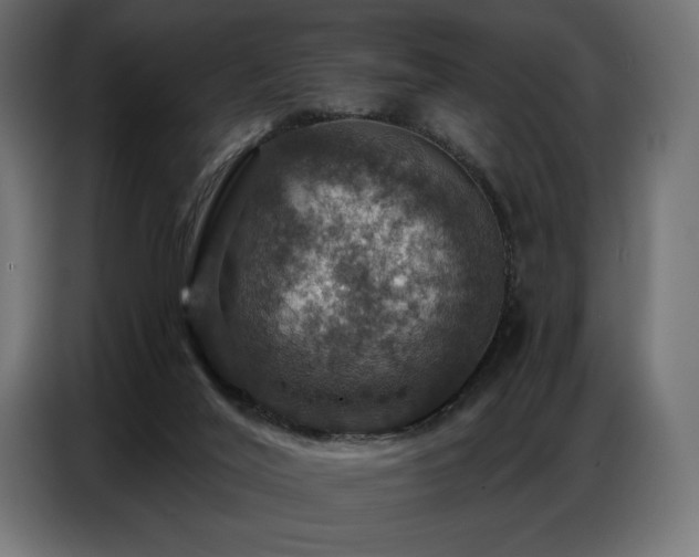 X0000086880020200704161233