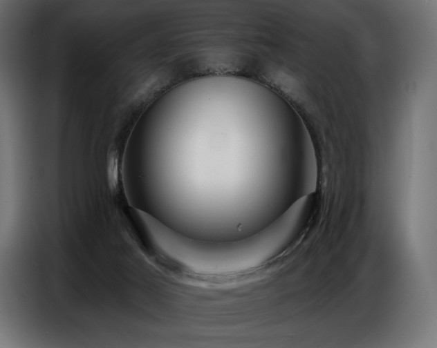 X0000086880021200704161233