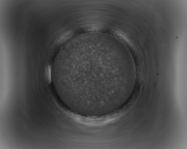 X0000086880022200704161233