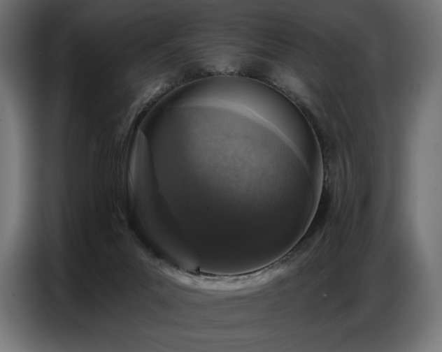 X0000086880023200704161233